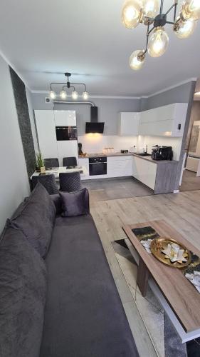 a living room with a couch and a table at Apartament DeLuxe 3 in Oświęcim