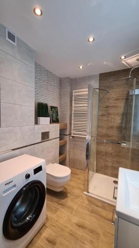 bagno con lavatrice e servizi igienici di Apartament DeLuxe 3 a Oświęcim