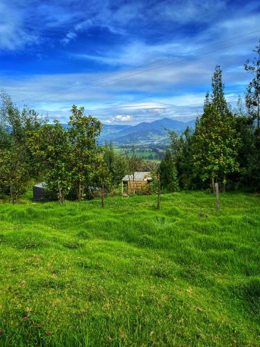 a field of green grass with a house in the background at Cabaña Agrreste in Nemocón