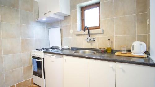 a kitchen with a sink and a counter top at Kuća za odmor Vladimir in Matulji