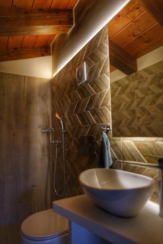 a bathroom with a bowl sink and a shower at Villa Evinoi in Pallini