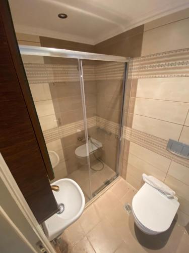 a bathroom with a toilet and a glass shower at Sea front Almi in Vasiliki