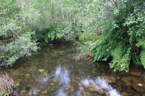 Retiro Da Arminda – Photos 2