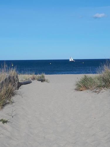 a beach with a sail boat in the water at Superbe vue mer avec accès direct plage et parking in Le Barcarès