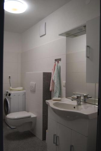 a white bathroom with a toilet and a sink at Ferienwohnung Polzer in Hörmanns bei Weitra