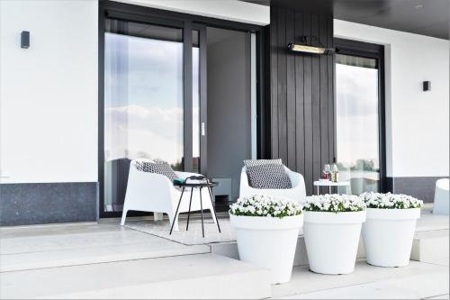 a group of white plants in large white pots on a patio at B&B Ganzendiep aan het water in Grafhorst
