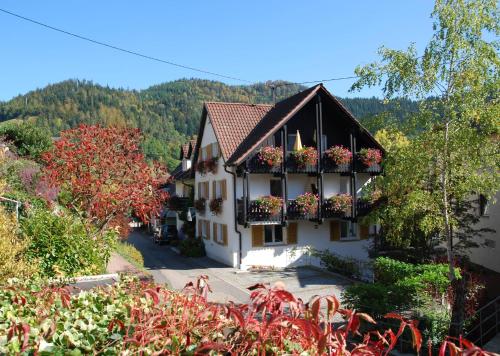 um edifício com vasos de flores nas janelas de uma aldeia em Hotel am Mühlbach em Forbach