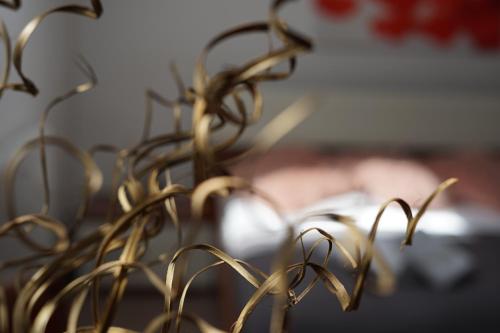 a close up of a plant at Pivovarsky Hotel Kojetín u Kroměříže in Kojetín