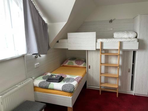 a small room with a bunk bed and a ladder at Orlovna Šitbořice in Šitbořice