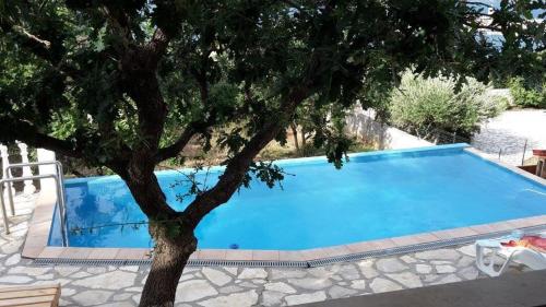 a large blue swimming pool next to a tree at Ferienhaus Vesna in Vinjerac