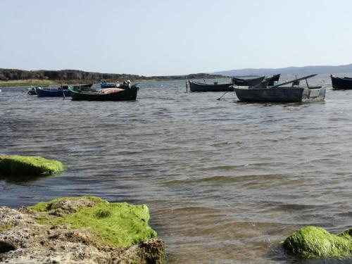 a group of boats sitting in a body of water at La luna nel pozzo in Portoscuso