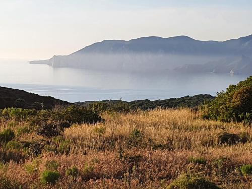 a field with a view of a body of water at La luna nel pozzo in Portoscuso