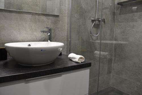 a bathroom with a sink and a glass shower at Bogáthy Kúria Business Apartments in Nyírbogát