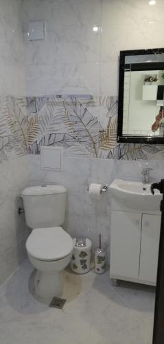 a bathroom with a toilet and a sink and a mirror at ВЛАД ДОМ Студио in Vratsa