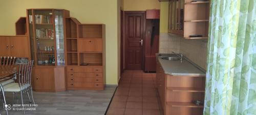 Kuchyňa alebo kuchynka v ubytovaní Janó Apartman