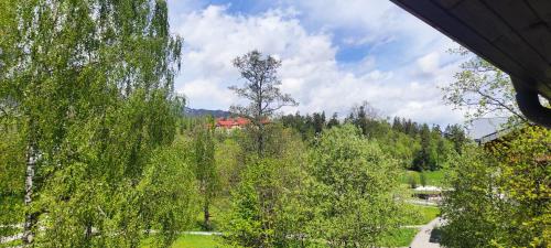 a view of a forest with a house in the distance at Apartments Tatra Olla - Tatranská Lomnica in Tatranská Lomnica