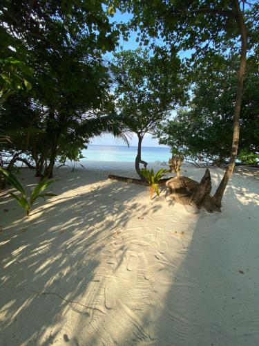 a sandy beach with trees and the ocean in the background at Beach Veli in Ukulhas