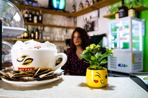 a woman behind a counter with a coffee cup and a plant at Sansi´s Sapri Camere in Sapri