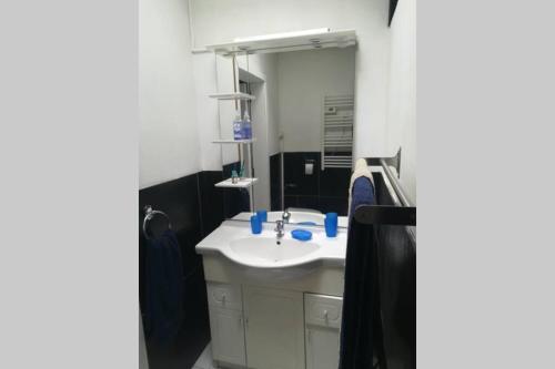 a bathroom with a white sink and a mirror at Appartement neuf à Boussu - Près de la France - Séjour Détente in Boussu