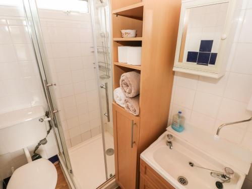 a bathroom with a shower and a sink and a toilet at Willow 80 in Carmarthen
