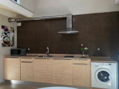 a kitchen with a sink and a washing machine at Apartamentos Lorione in Olite