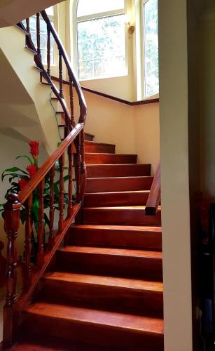 a stairway with brown steps and a window at SeyBreeze Villa in Anse Royale