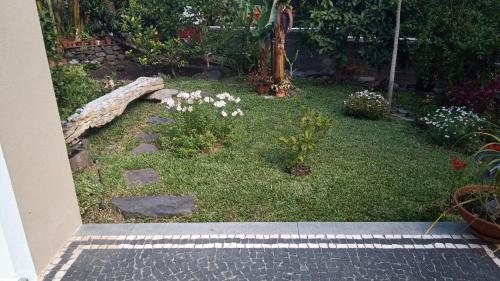 a garden with rocks and flowers on the grass at Casa da Bungavillia in Machico