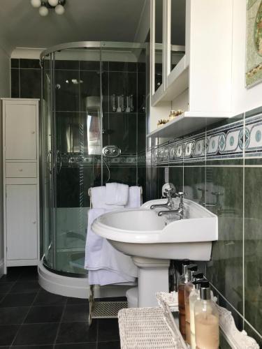 a bathroom with a sink and a shower at Beechwood B and B in Lewes