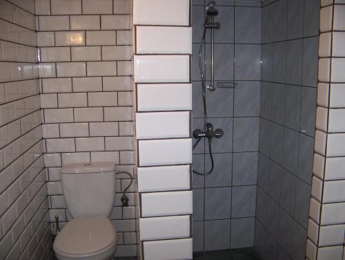 a bathroom with a toilet and a shower at Chałupa Zagrodnika in Krzemienica