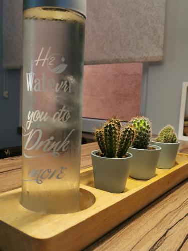 a drink can sitting on a wooden tray with cactuses at Nest in Belgrade
