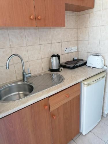 Dapur atau dapur kecil di Simos Magic Beach Hotel Apts
