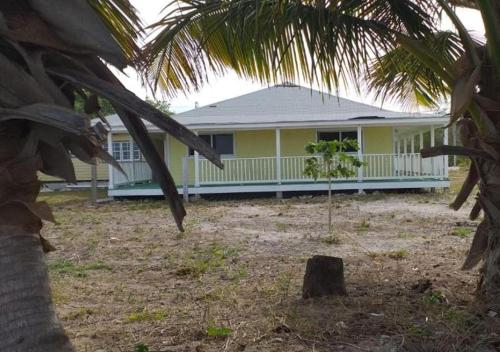 a yellow house with a palm tree in front of it at Alvira's Place in Mars Bay