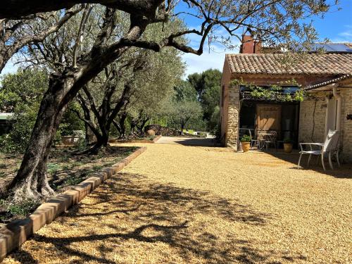 a yard with a tree and a house at Le Mas Carré Séguret in Séguret