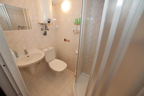 a bathroom with a toilet and a sink and a shower at Horská chata Hubert in Bedřichov