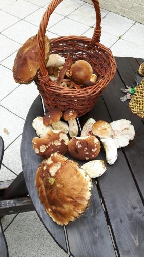 a basket and mushrooms on a table next to a table at Horská chata Hubert in Bedřichov