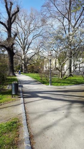 a street in a park with trees and a trash can at Hotel Weberhof in Zittau