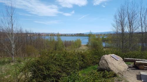a large rock sitting on the side of a lake at Hotel Weberhof in Zittau
