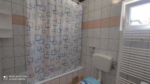 Phòng tắm tại Apartment Nikolina