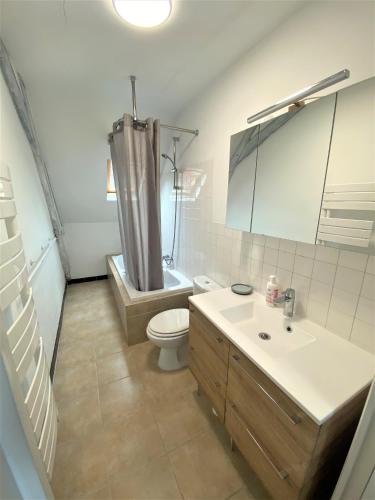 une salle de bain avec toilettes, douche et lavabo dans l'établissement LE CHANT DES OISEAUX, 3Km du Zoo de Beauval, Parking gratuit ,WIFI et NETFLIX gratuits, à Saint-Aignan