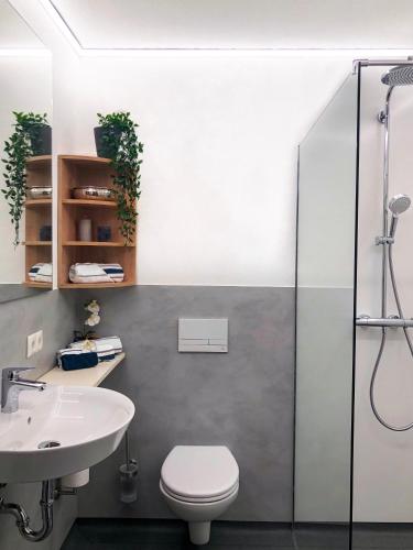 a bathroom with a shower and a toilet and a sink at Boardinghaus Kastlmühle in Stelzhof