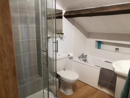 ein Bad mit einem WC, einer Dusche und einem Waschbecken in der Unterkunft Harrogate Toffee Loft in Harrogate