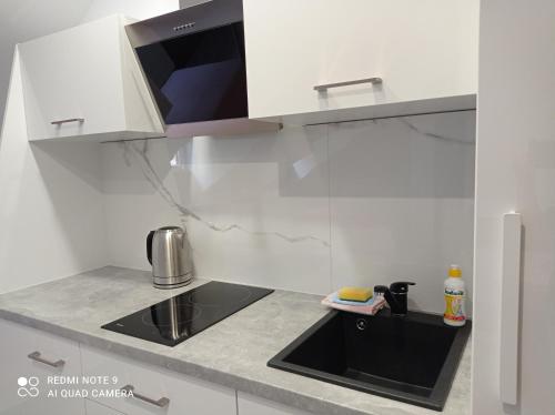 Dapur atau dapur kecil di Wypoczynek Pod Lasem