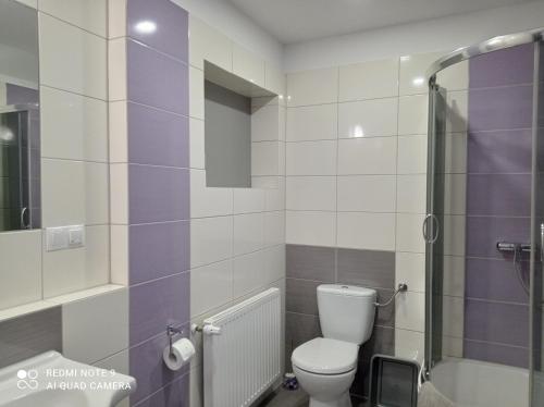 La salle de bains est pourvue de toilettes et d'une douche en verre. dans l'établissement Wypoczynek Pod Lasem, à Kudowa-Zdrój