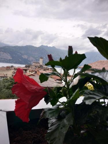 Blue Sky Garda - Zaffiro – Photos 3