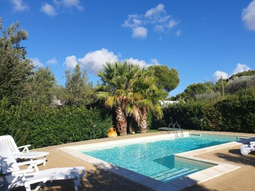 una piscina con 2 sillas y una palmera en Villa Arisa with pool, en Selva di Fasano