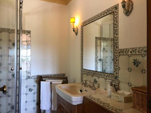ein Bad mit einem Waschbecken und einem Spiegel in der Unterkunft Quinta do Troviscal in Castelo do Bode