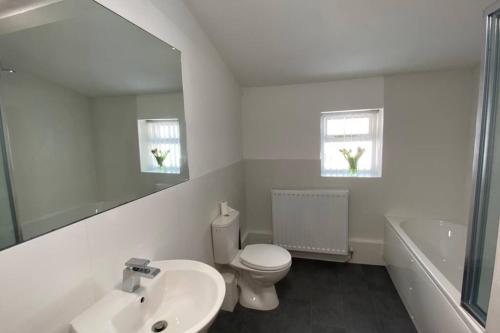 a bathroom with a toilet and a sink and a mirror at Poet's Corner - flat close to centre of Keswick in Keswick