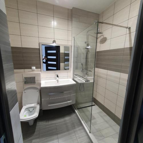 Un baño con inodoro, lavabo y ducha. en Berylowa Apartament, en Konin