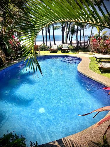 Ola Bonita BeachFront Apart Hotelの敷地内または近くにあるプール