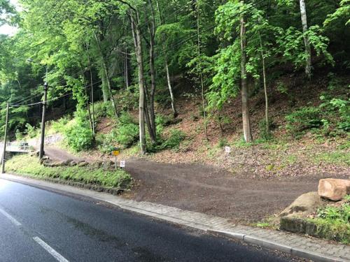 an empty road next to a hill with trees at Holiday House Panda in Hřensko